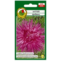 Nasiona Aster igiełkowy Romeo pnos637